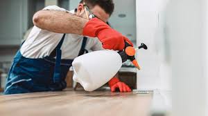 Best Commercial Pest Control  in Greybull, WY